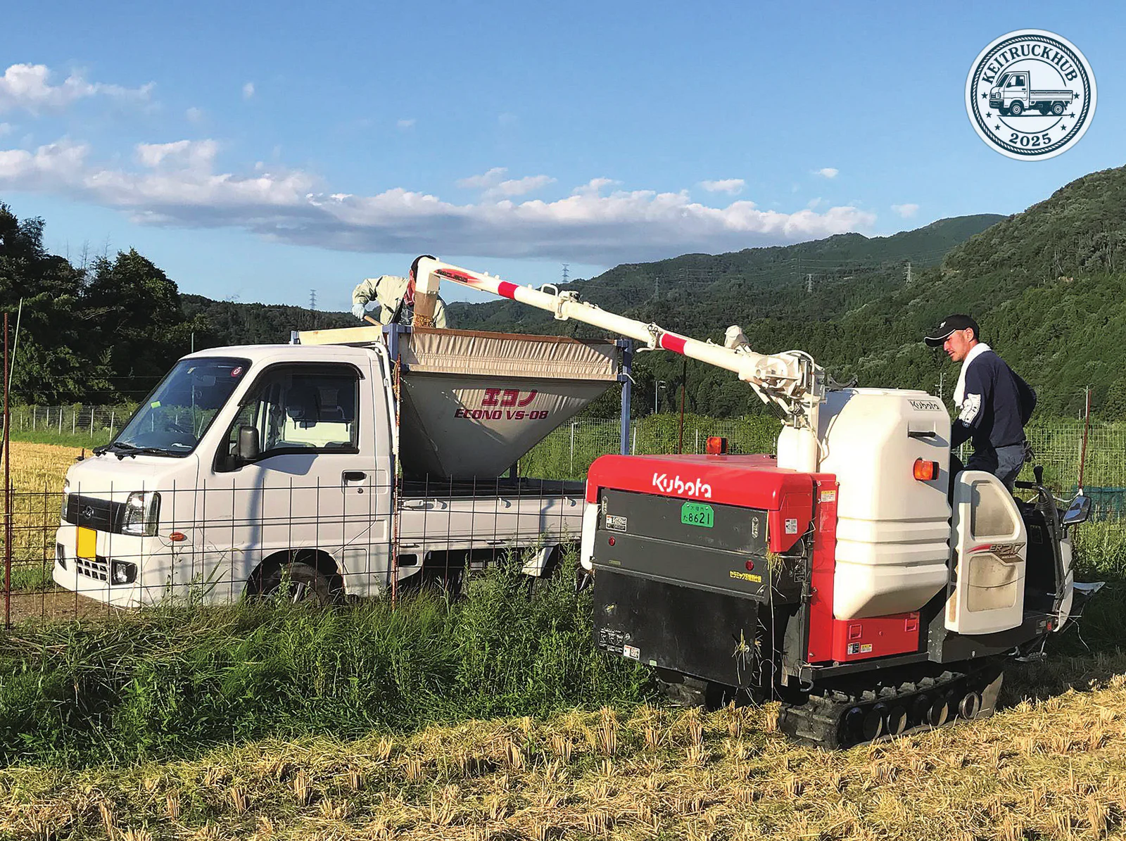 A combine harvester's unloading arm extends over a hopper in the bed of a white Subaru Sambar beside a rice field.